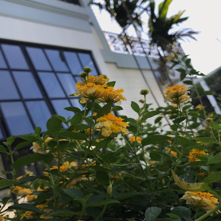 鲁曼卡塔亚雅酒店 泗水 外观 照片